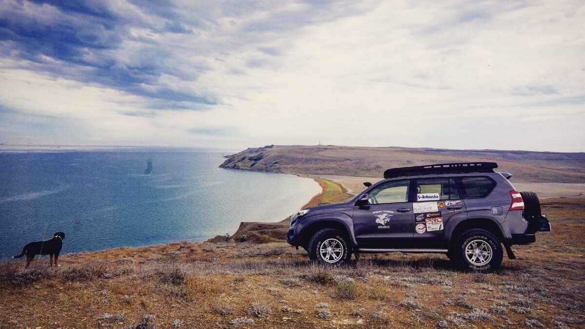 Моя собака и машина