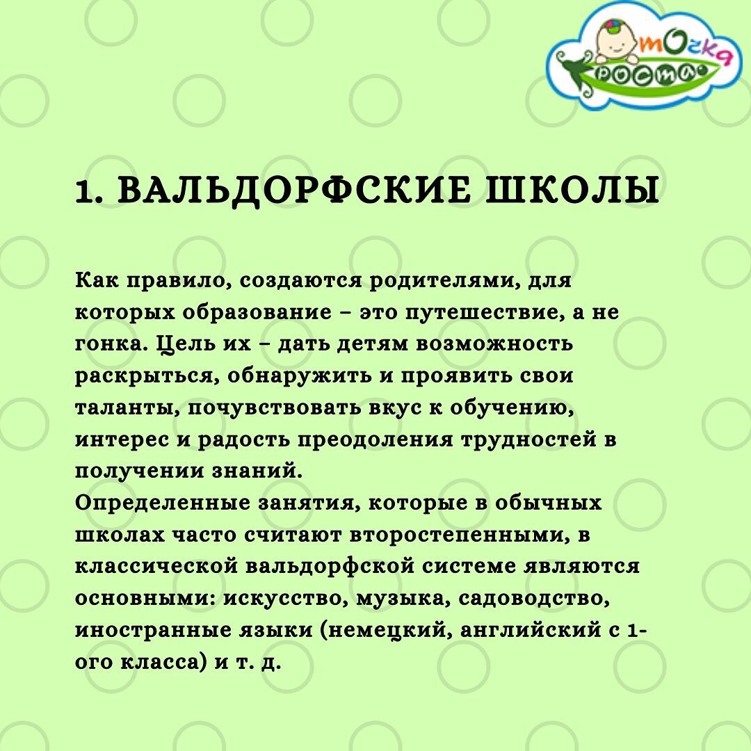 Альтернативные школы в России | Точка Роста | Дзен