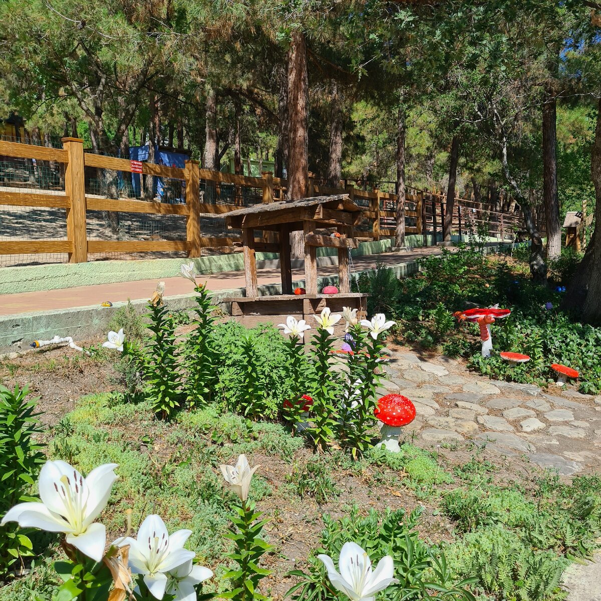 ухоженная территория парка