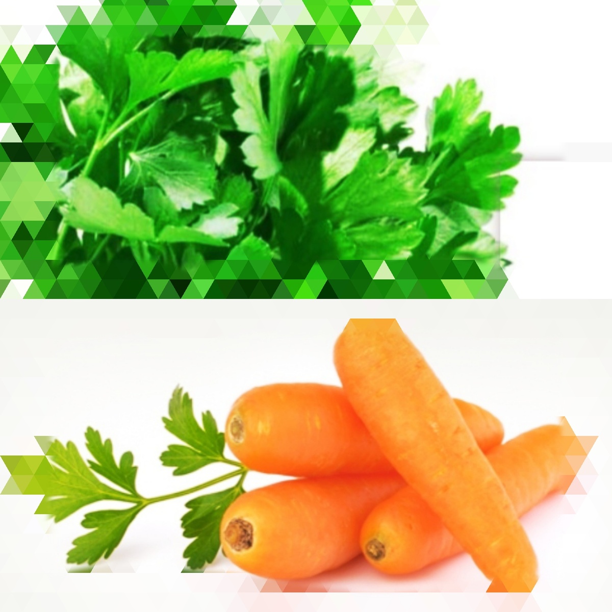 Петрушка и морковь. 