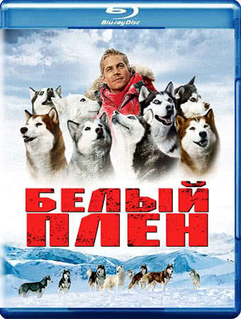 фото - Кадр из фильма, использовано в качестве иллюстрации. Источник: Google Картинки