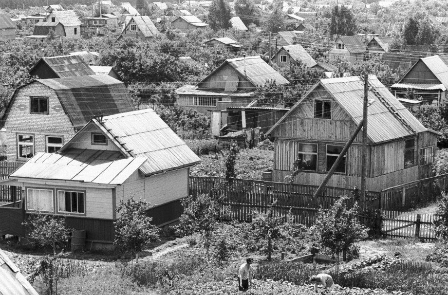 Фото:  Николай Желудович | ITAR-TASS