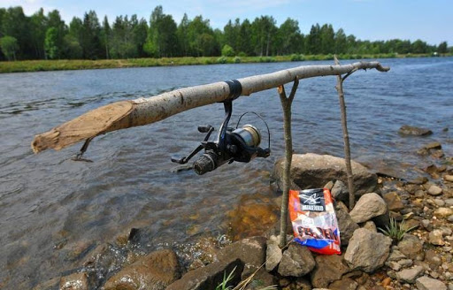 Картинка для привлечения внимания. Источник: https://google.com/images