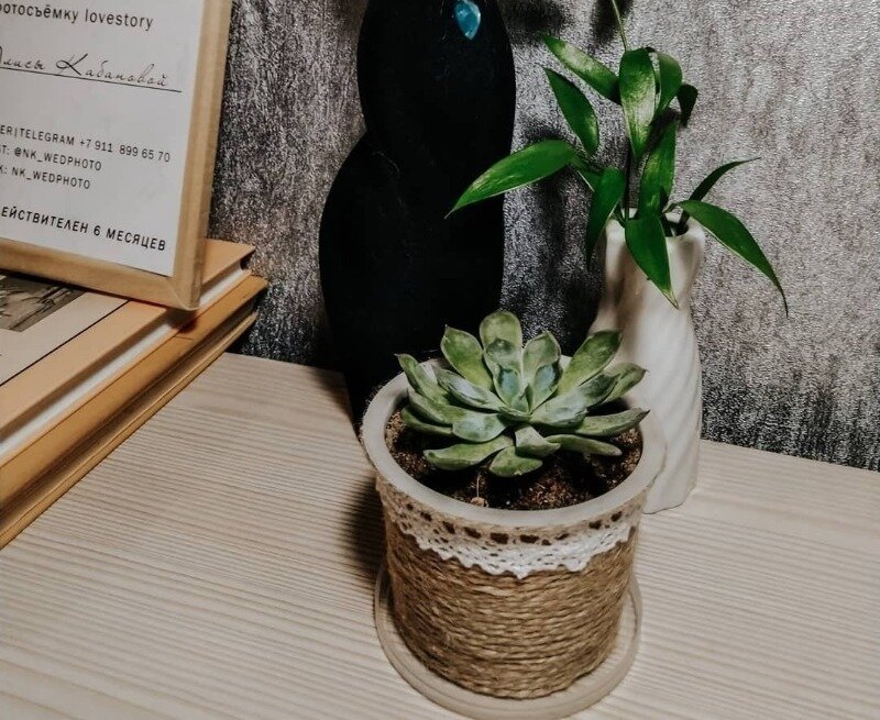 Источник фото https://www.instagram.com/p/B9EHijGodkL/