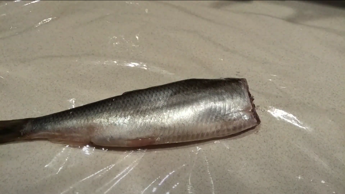 Отрезаем мелкие плавники, голову и брюшко у селёдки