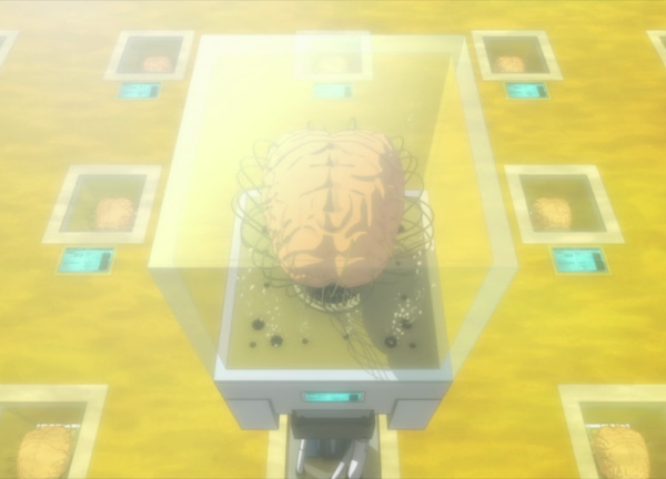 Специальный контейнер для одного из мозгов в составе "Сивиллы".