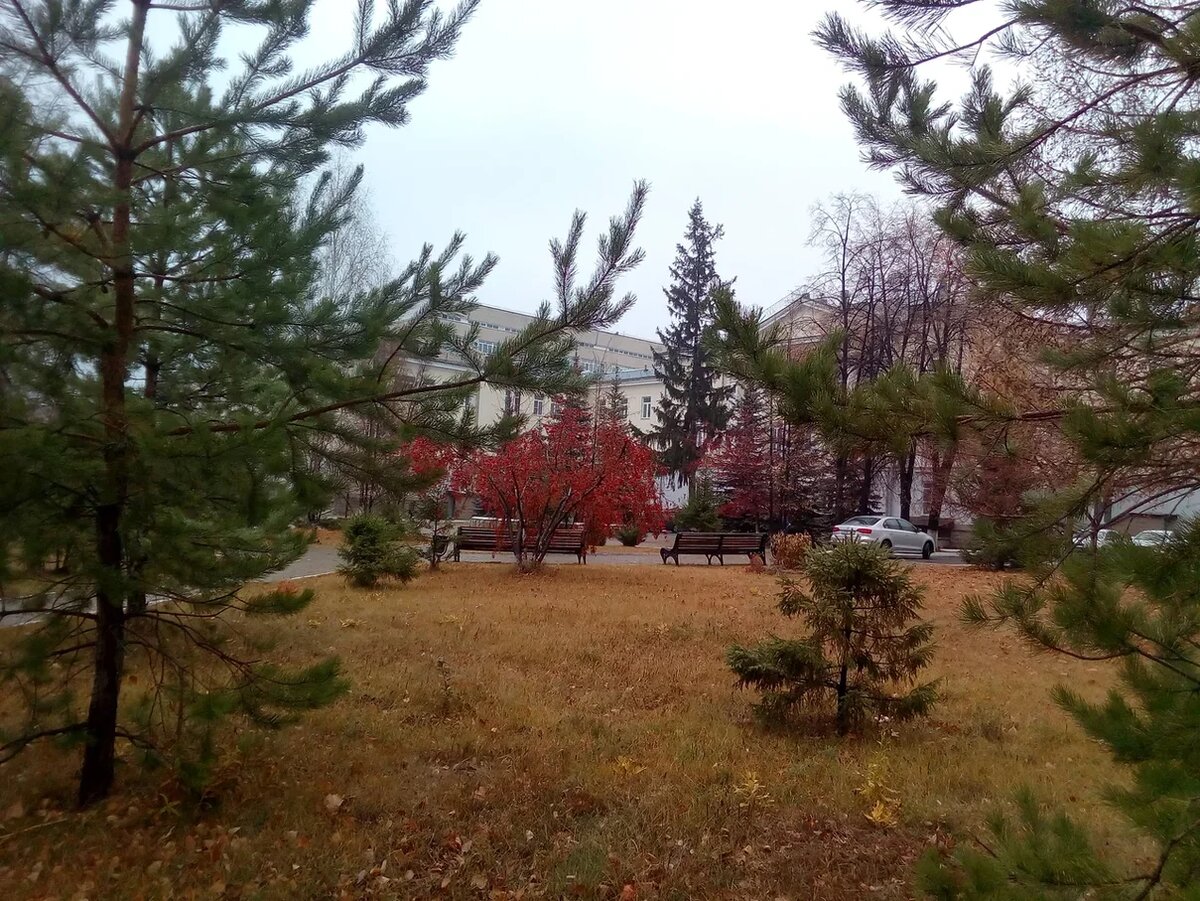 Осень во всей красе