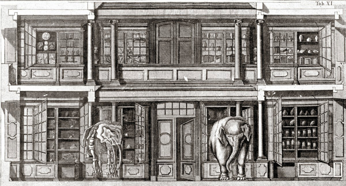 Профиль Кунсткамеры. Гравюра А. Полякова. 1740 г. 