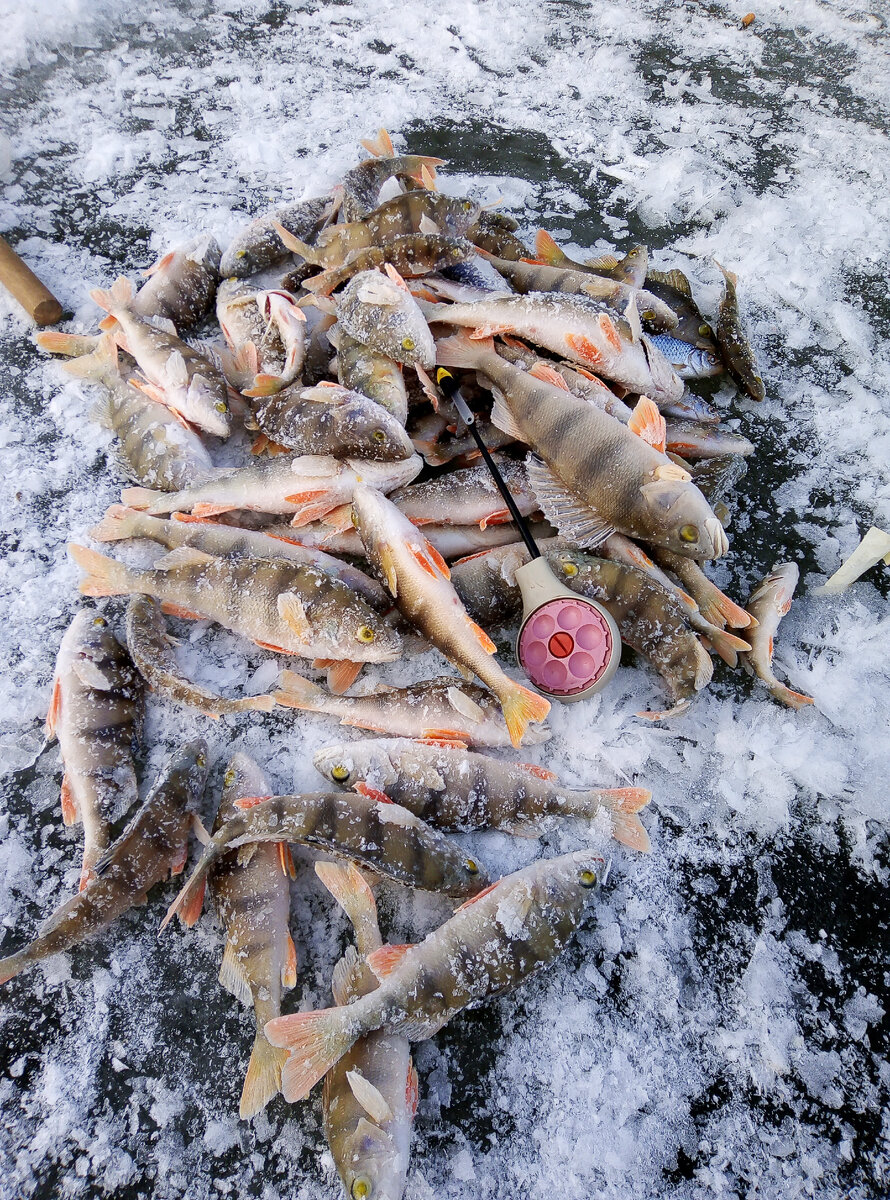 фотоматериал из личного архива