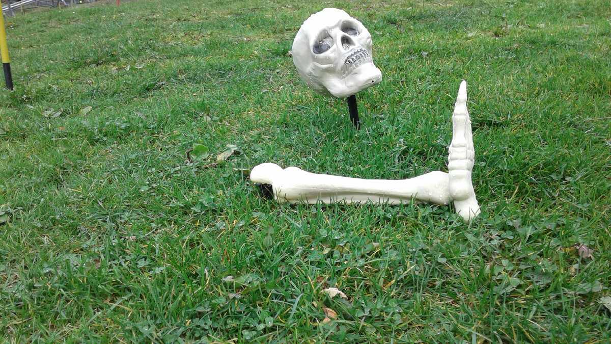 На грани доживания