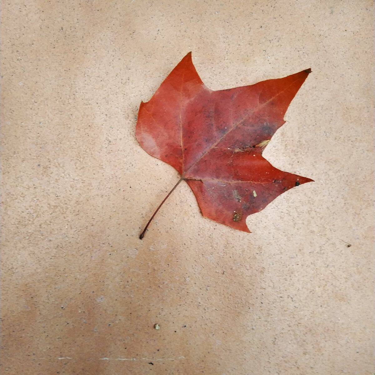 Чтобы дать дорогу новому, нужно старое утратить. Фото автора