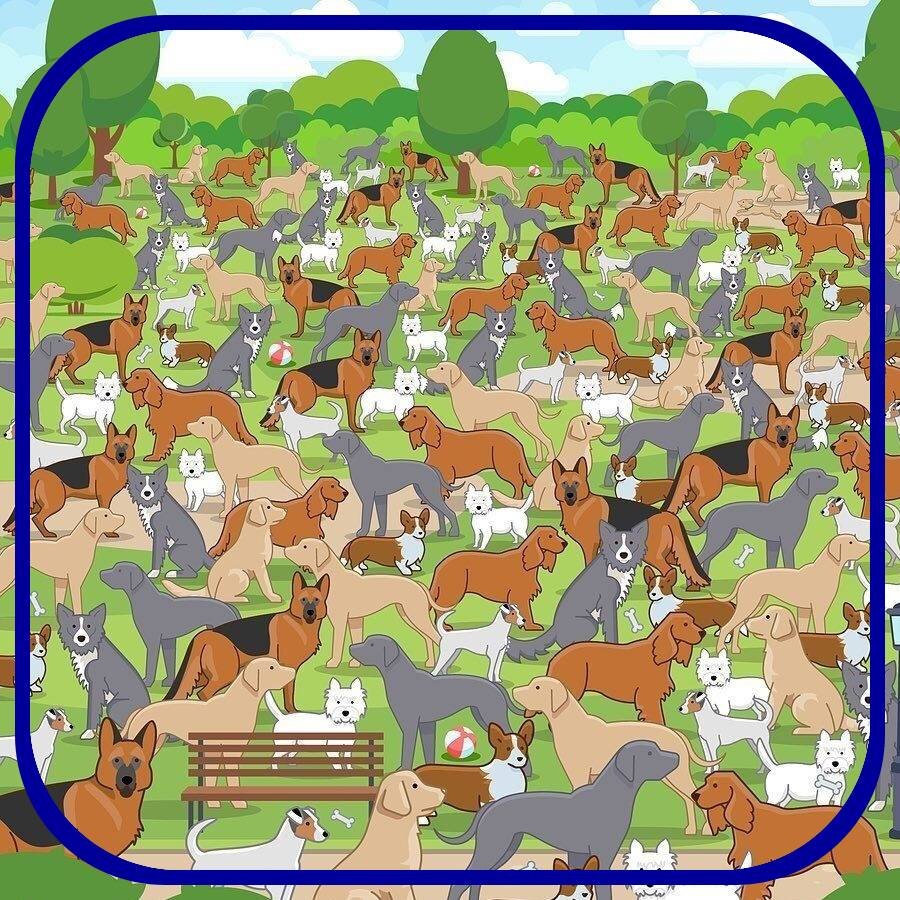 Изображение из открытых источников