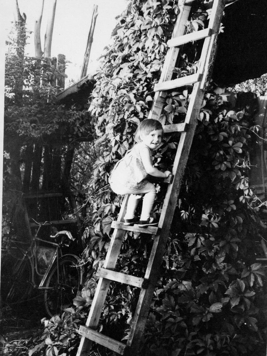 А ты смелая морковка!