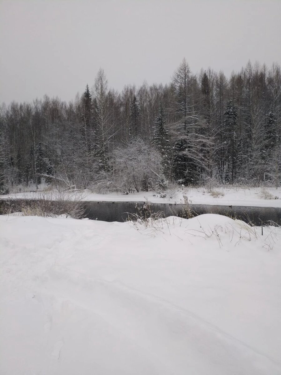 Зато зимой красиво в лесу