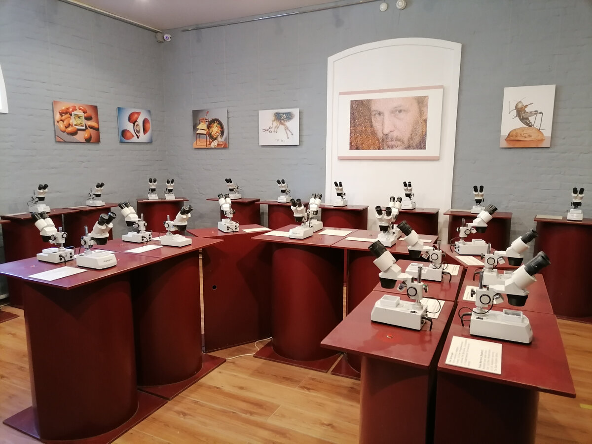 Фото автора