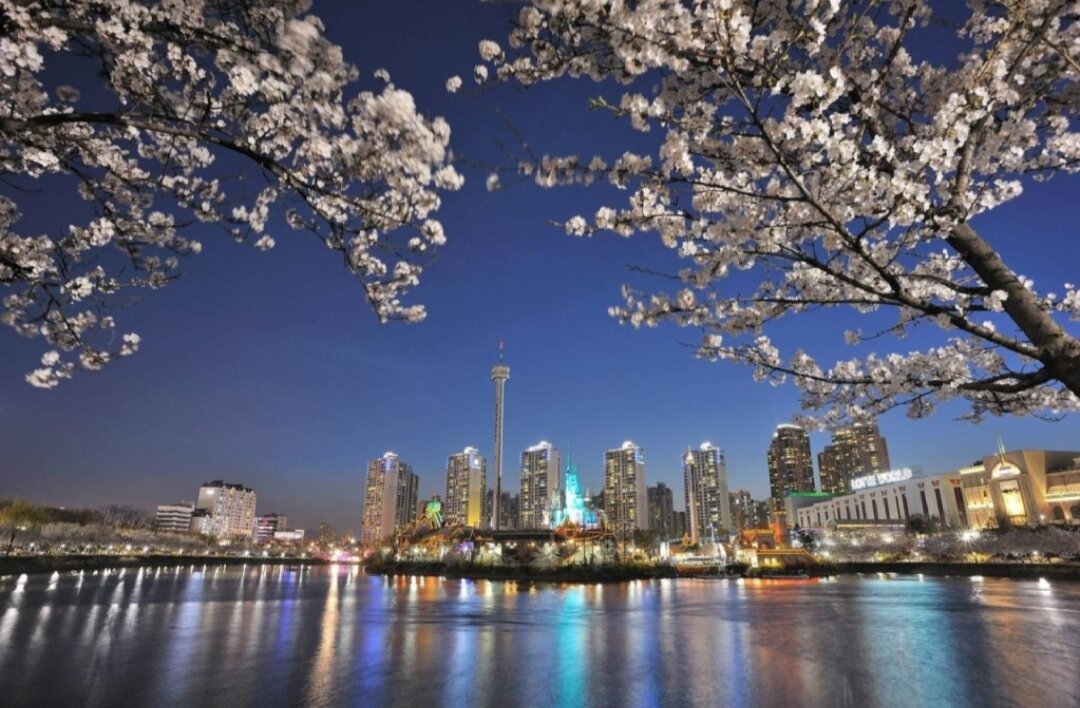 Фото из свободных источников интернета