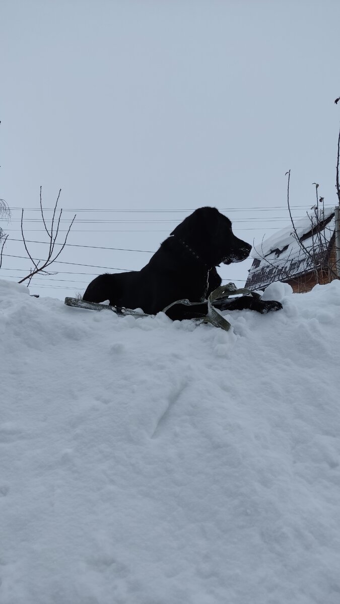Изюм