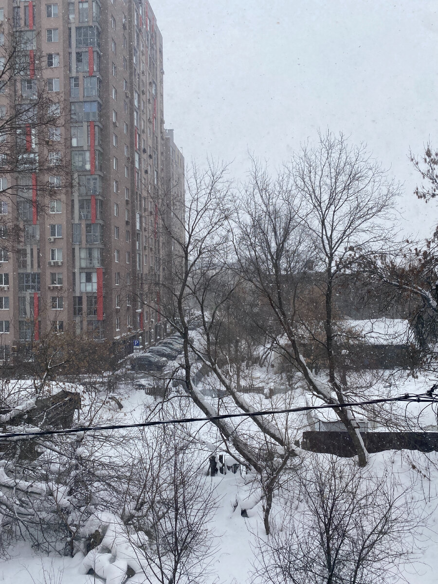 Фото автора. Вид из окна нижегородской квартиры. Всегда действует на меня умиротворяюще 