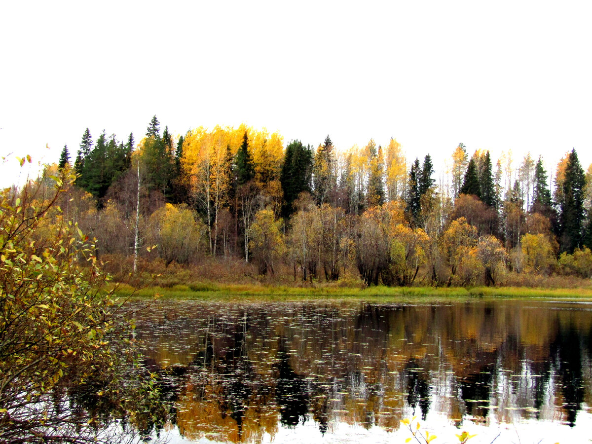 Озеро в октябре (окрестности Архангельска)