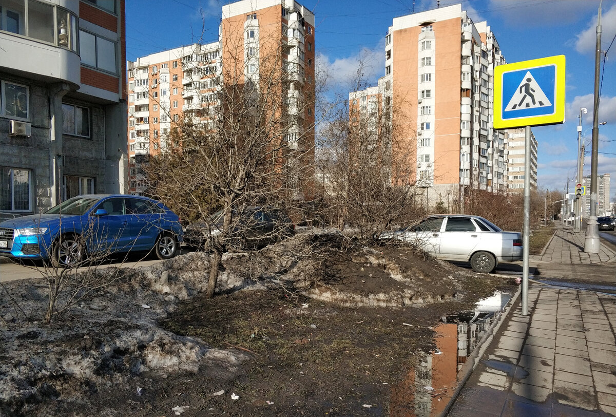 Фото автора.