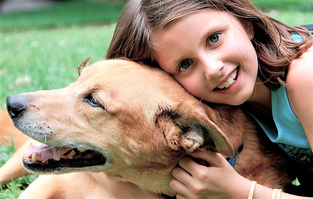 Фото из свободных источников