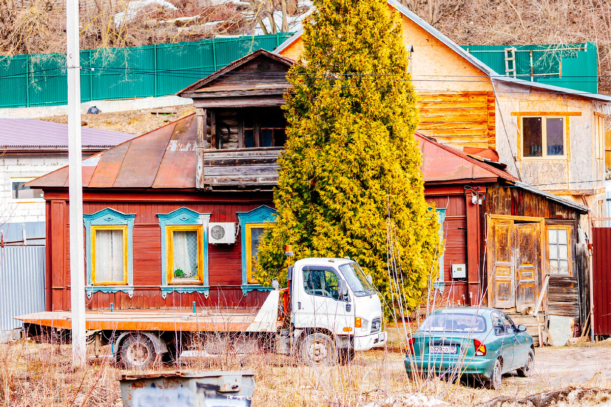 Здесь можно найти кота)