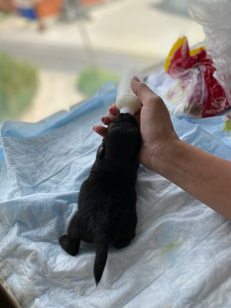 Добавьте описание