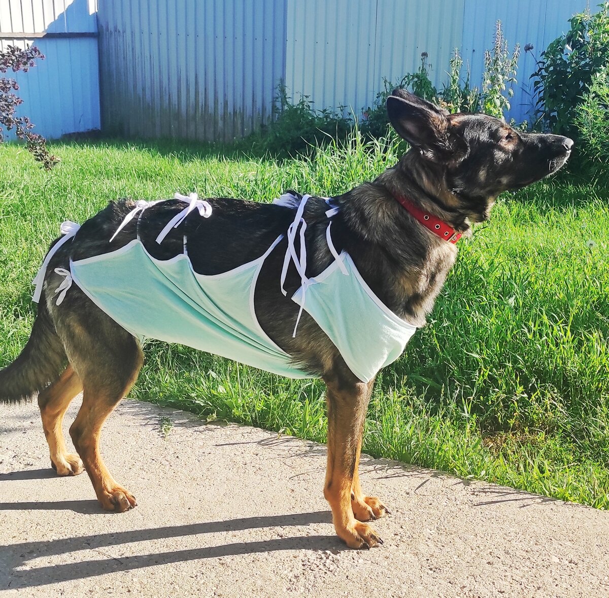Арья. Именно она "обострила" ситуацию в доме так, что мне стало крайне важно с этим разобраться.