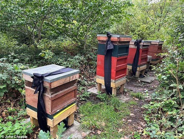 Фото из открытых источников. 