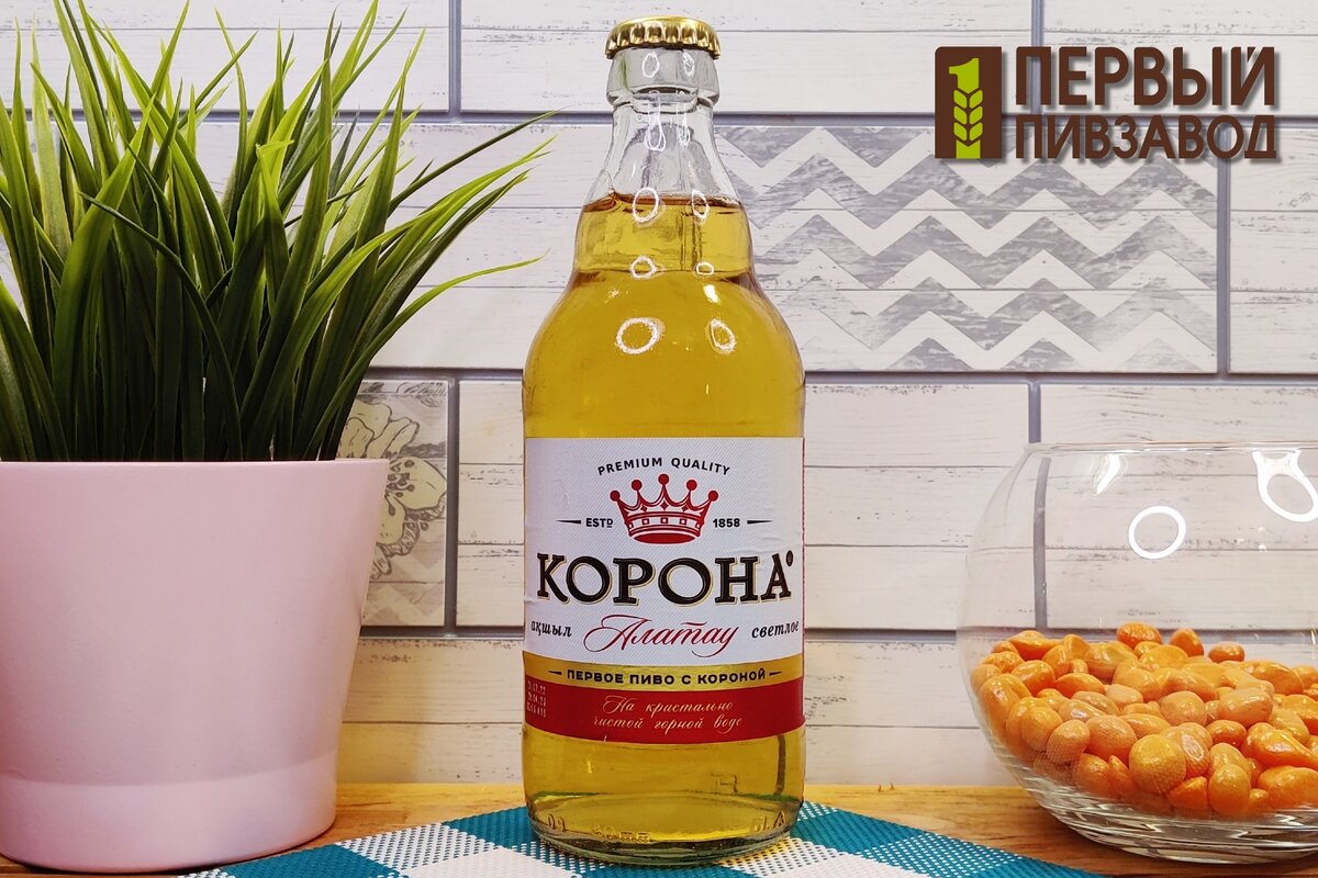 Как пить пиво корона. Корона Алатау светлое 4,8% 0,45л с/б (20). Корона Алатау пиво купить в Красноярске.