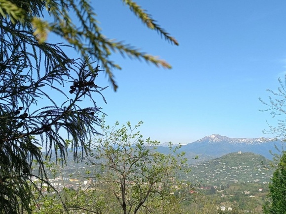   Фото ИА «Росбалт»