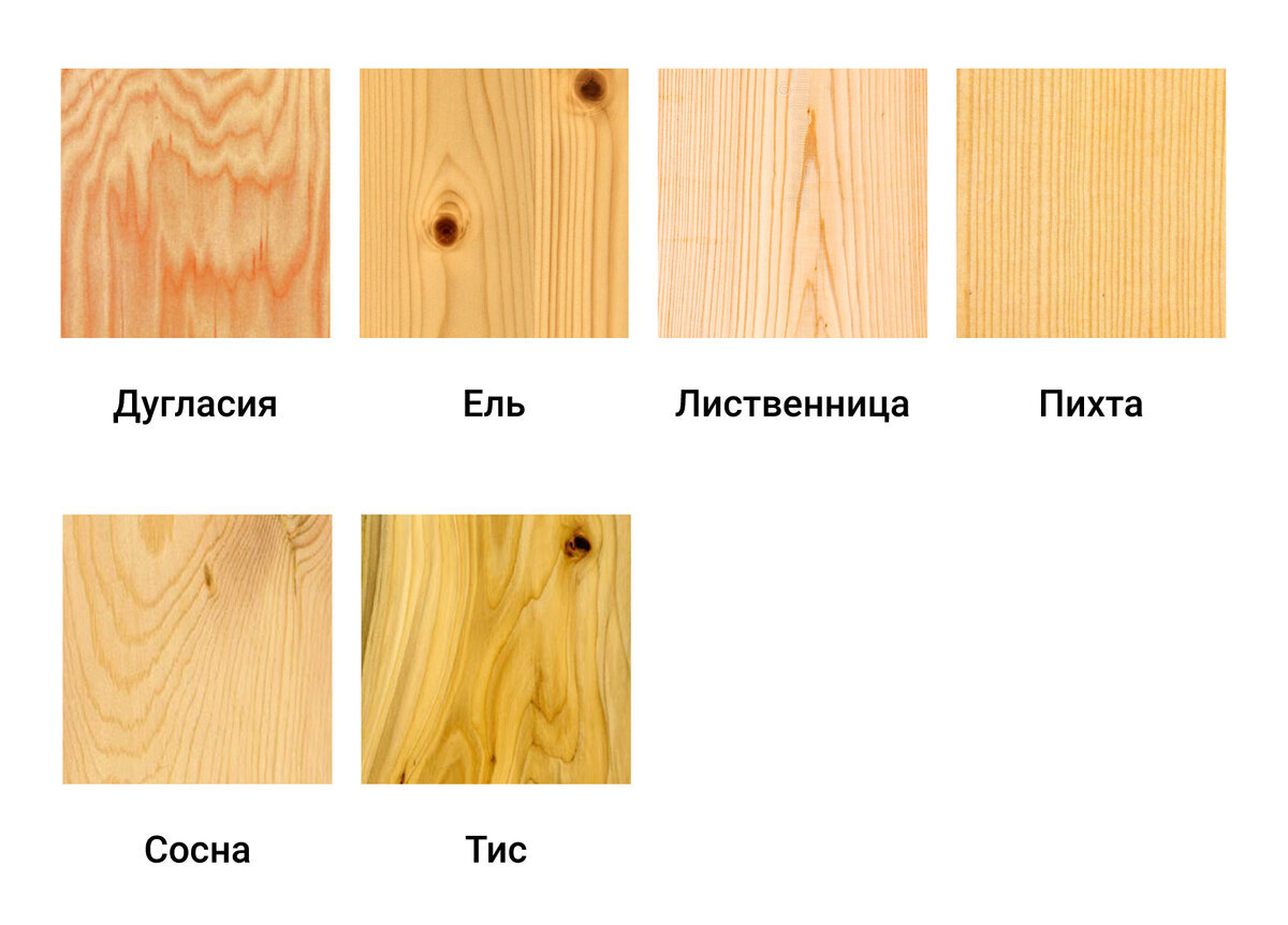 Как определить дерево по рисунку