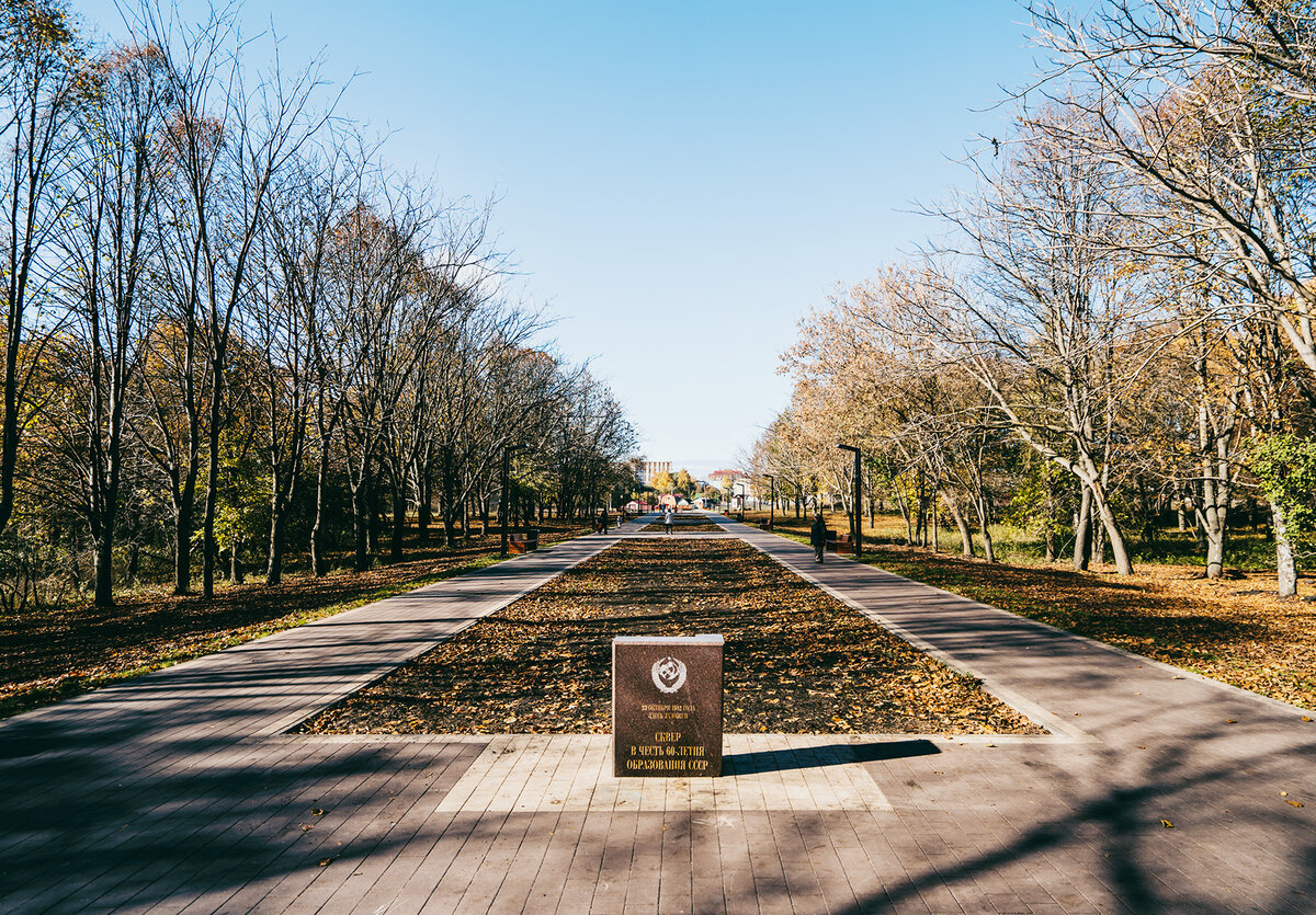 Фото среда новомосковск