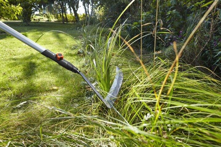 Фото с сервиса Яндекс-картинки.