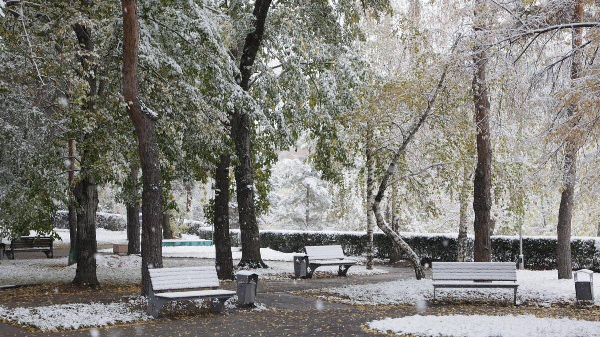    Деревья и лавочки в снегу:NUR.KZ / Петр Карандашов
