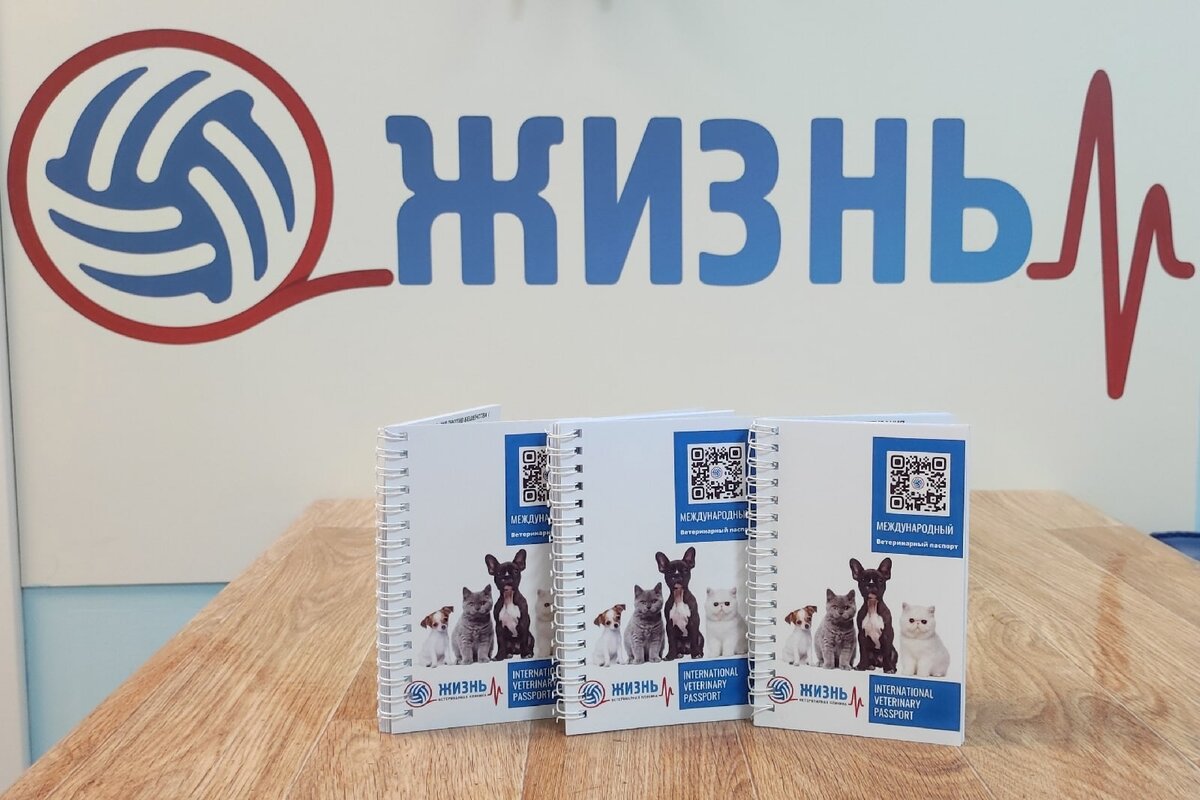 Паспорт для кошек и котят. Ветеринарный врач в Калуге. Вакцинация кошек