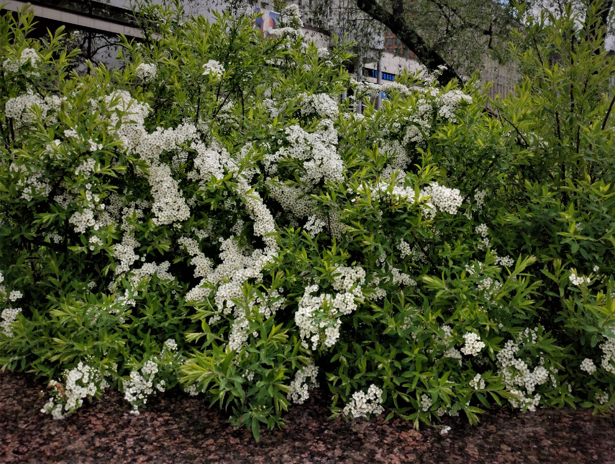 листайте 👉