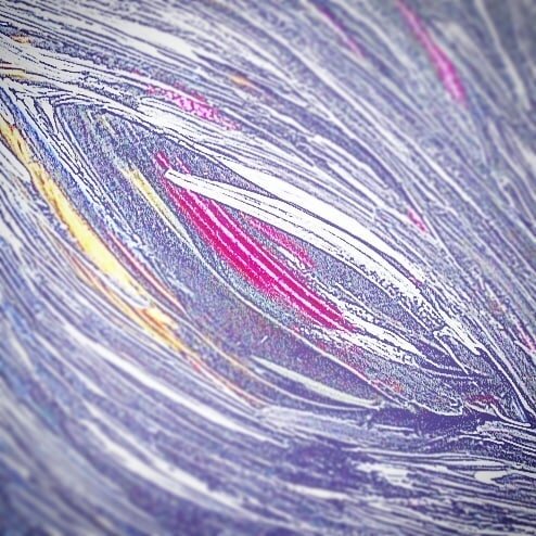 Перо. Холст. Масло. 2015 год. 