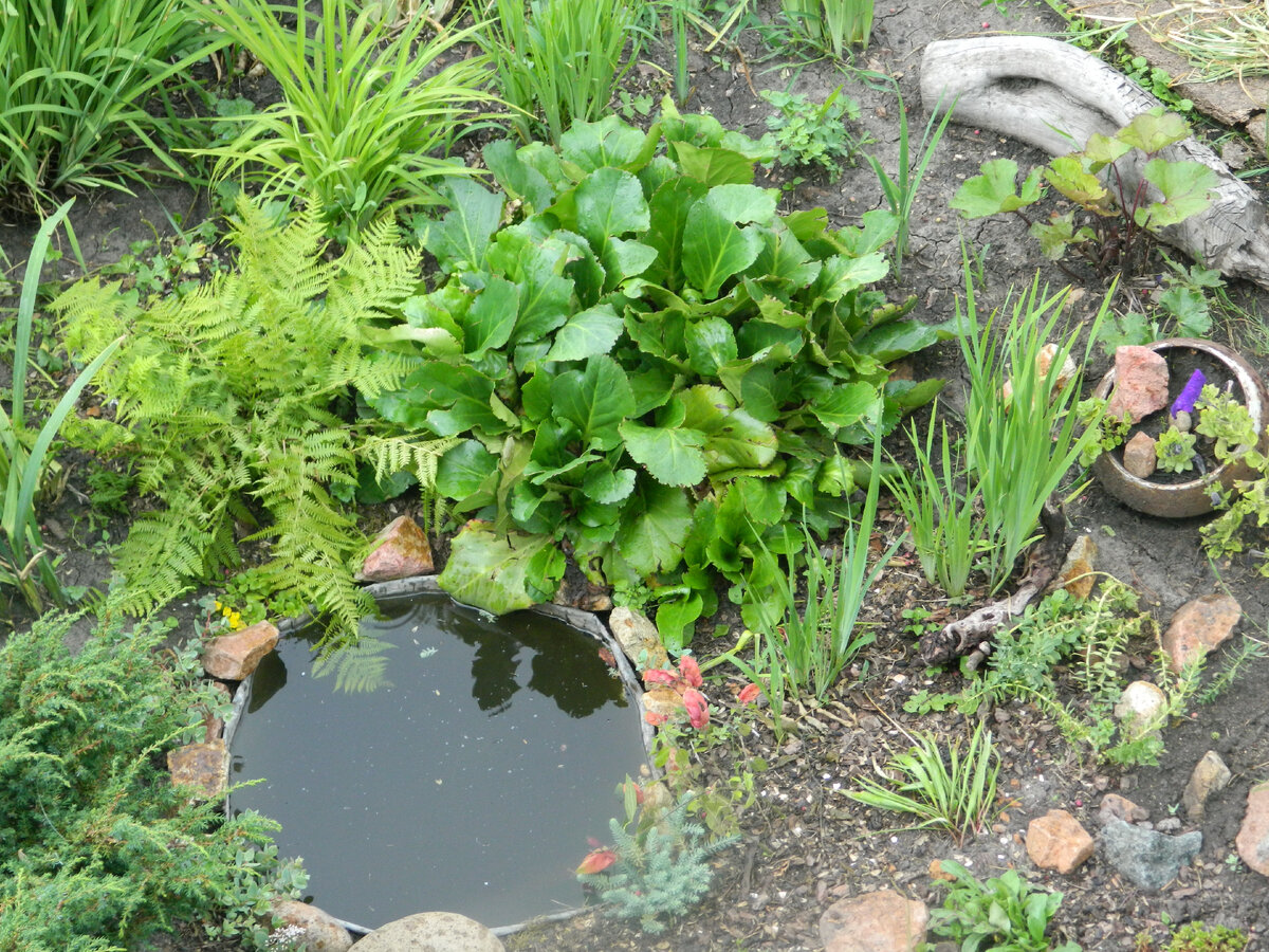Декоративный садовый пруд 900 л.(250х150х60см, 13 кг) арт. 900 GLQ зеленый
