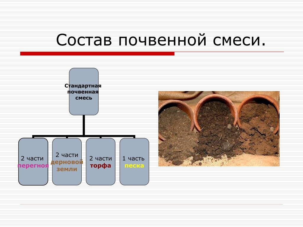 4 составляющие почвы. Подготовка почвенной смеси. Почвенные смеси для растений. Приготовление почвенной смеси. Компоненты почвенных смесей.