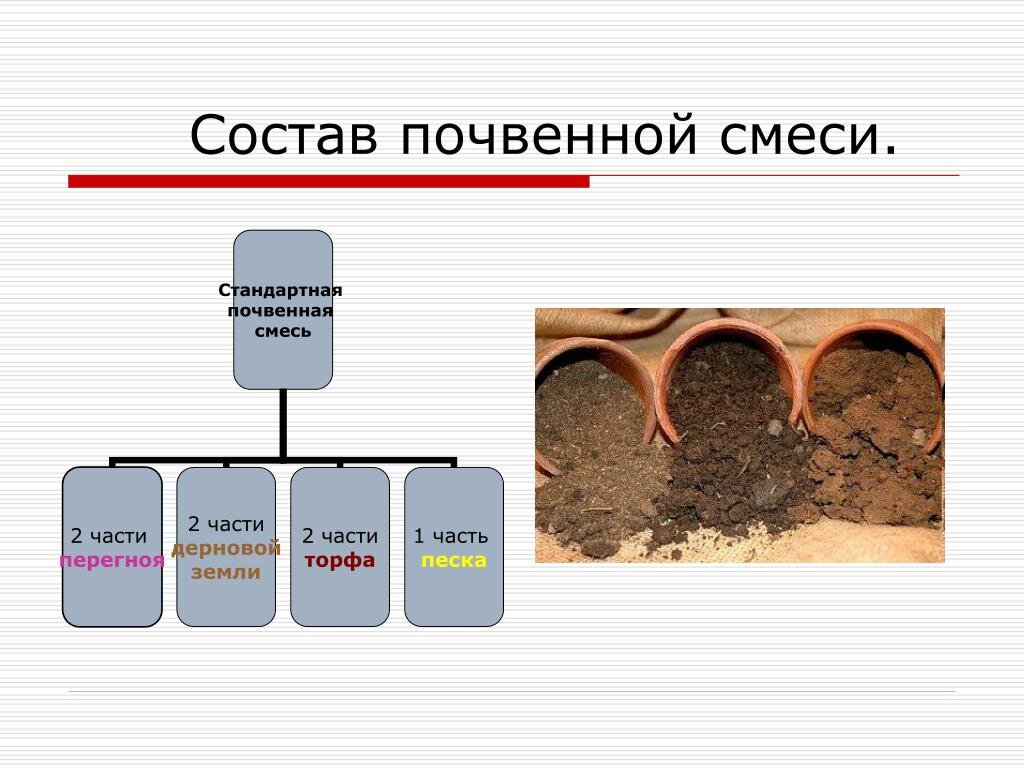 Состав почвы рисунок