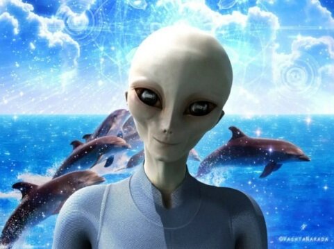 Коллаж. Изображение из открытых источников.