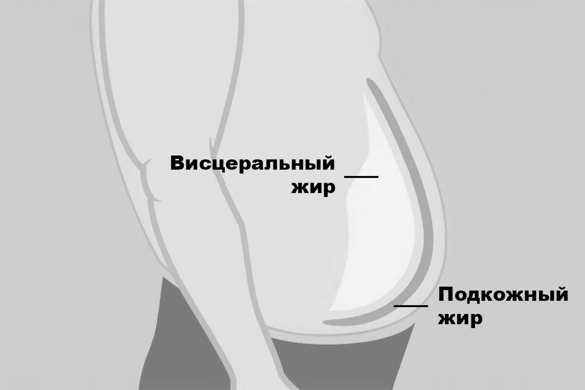 Ученые установили, что мозг людей с лишним весом имеет общую особенность - Российская газета