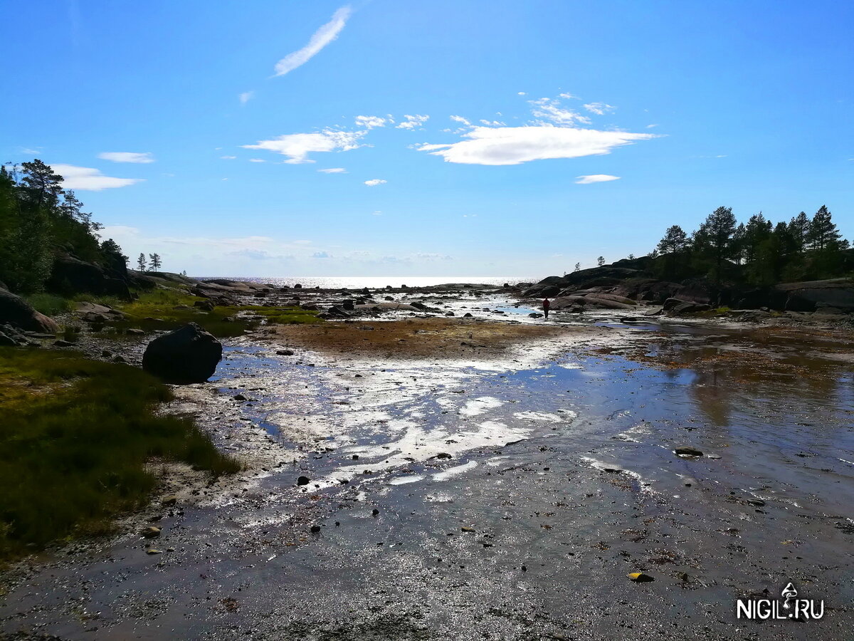Бухта Белого моря во время отлива
