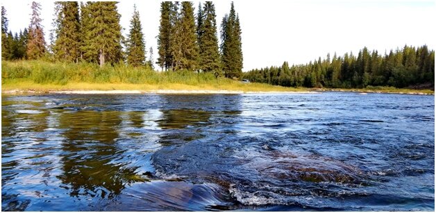 Фото из альбома