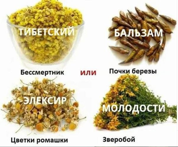 Заварите эти 4 травы и эликсир молодости готов!   