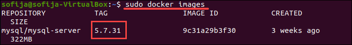  sudo docker images