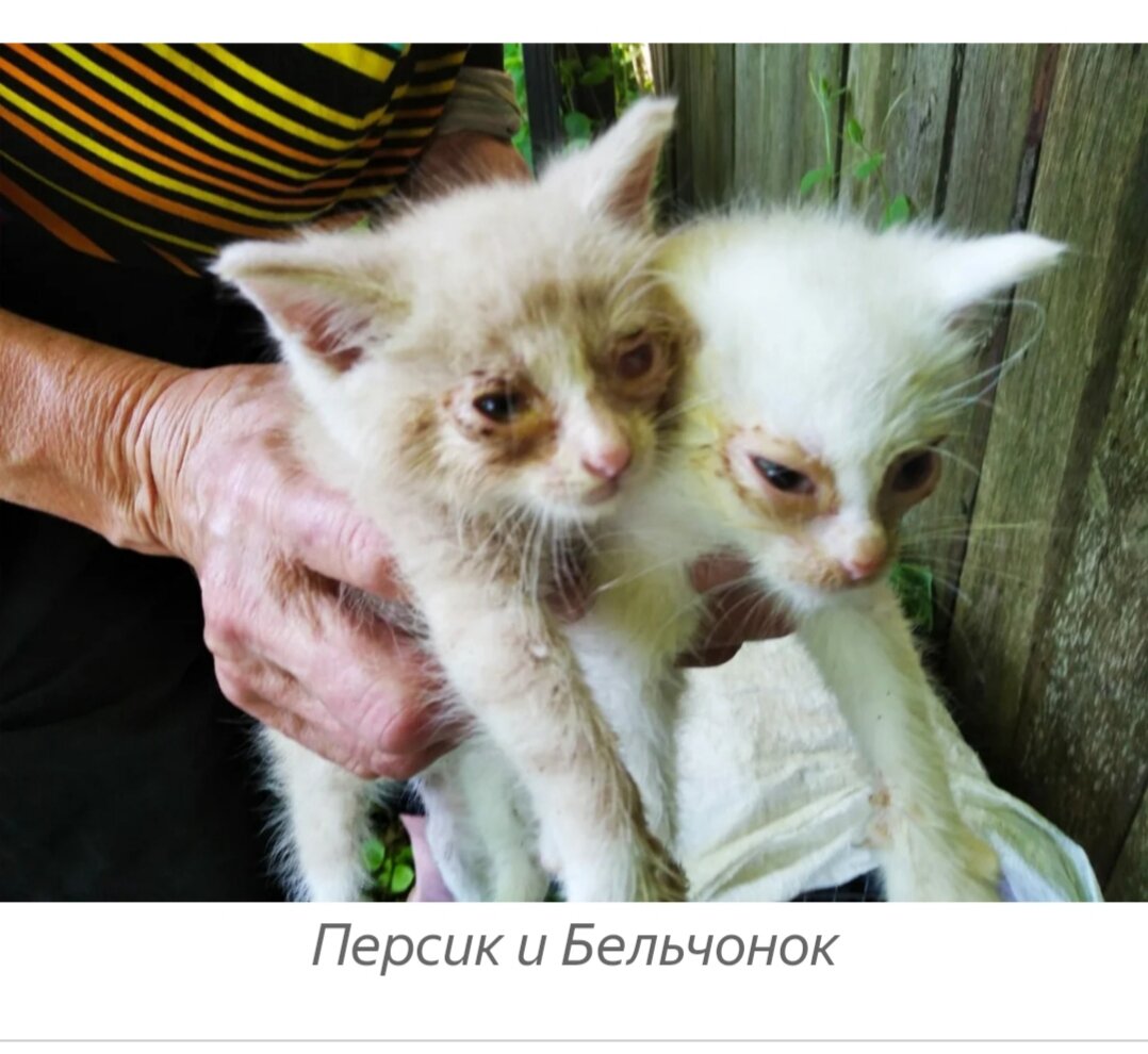 Первый пост 