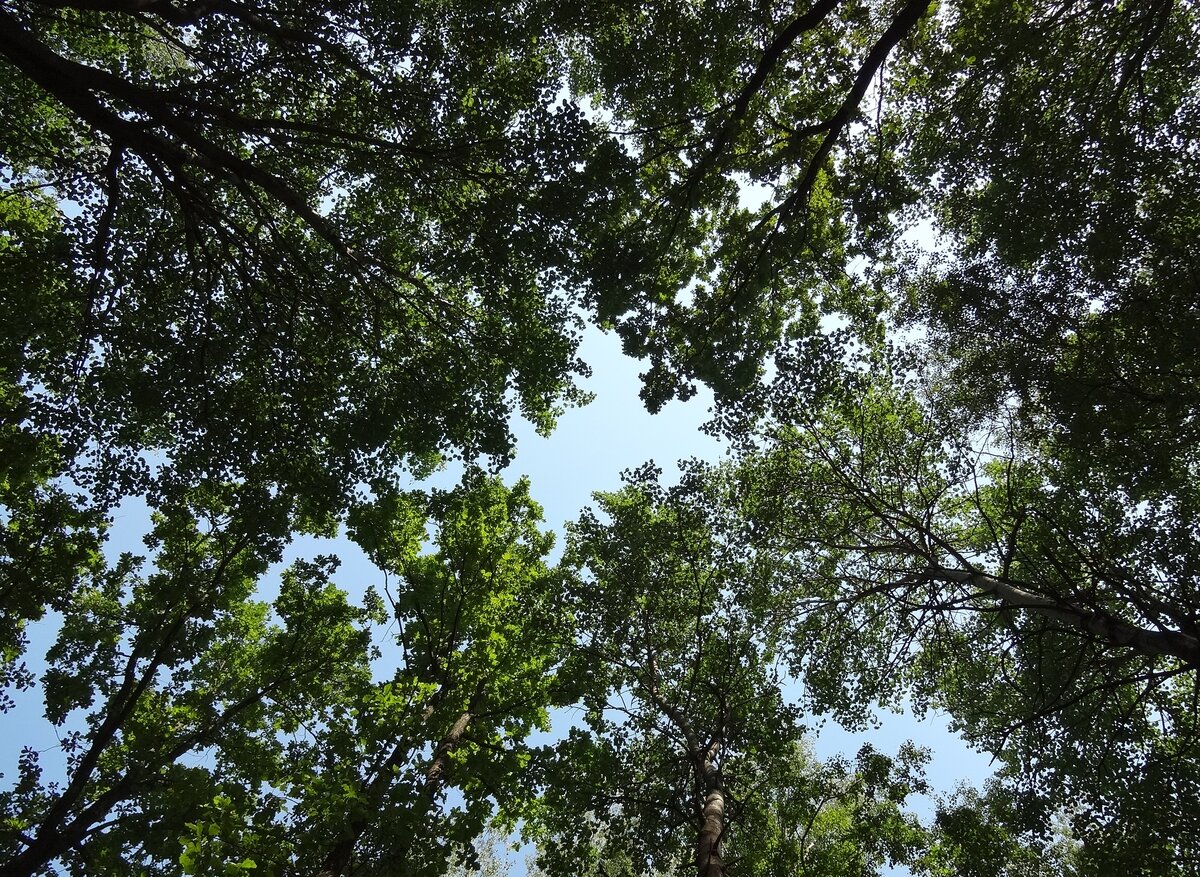 Фото из личного архива.