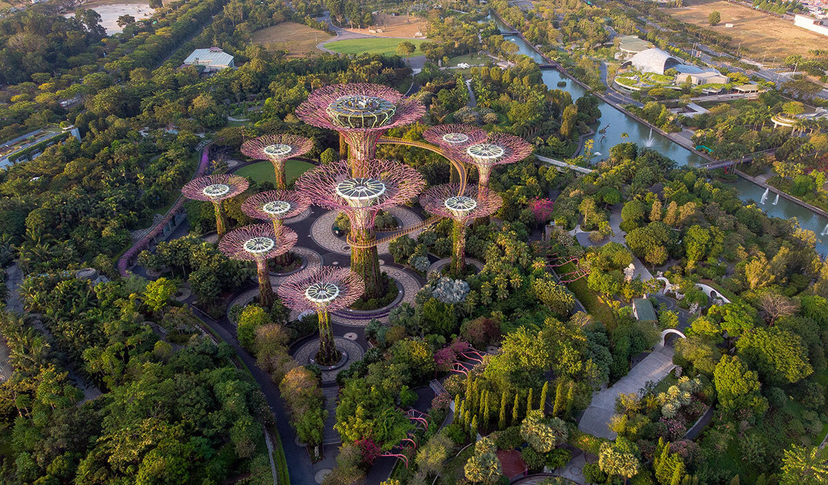 Один из самых зелёных городов на планете — Сингапур. Фото: unsplash.com/@sergiosala